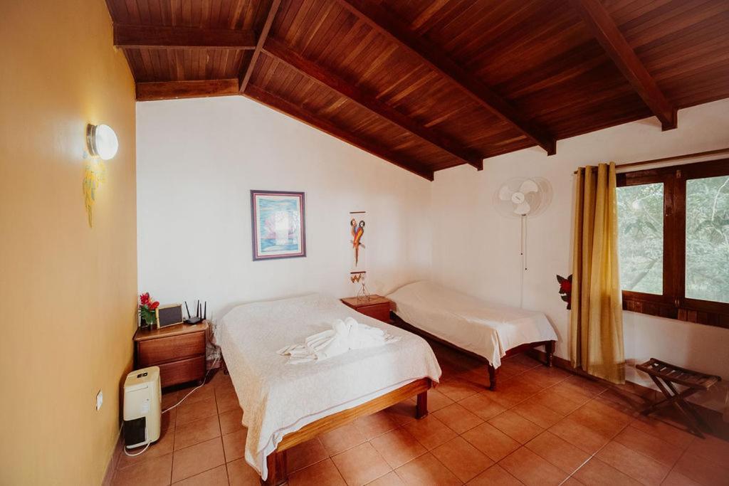 Lodge Mirador - Great Swimming Pool - Kitchen - Bbq - Netflix Tajo Alto Exteriör bild
