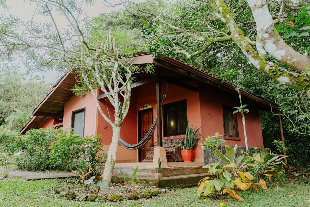 Lodge Mirador - Great Swimming Pool - Kitchen - Bbq - Netflix Tajo Alto Exteriör bild