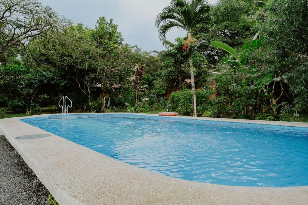 Lodge Mirador - Great Swimming Pool - Kitchen - Bbq - Netflix Tajo Alto Exteriör bild