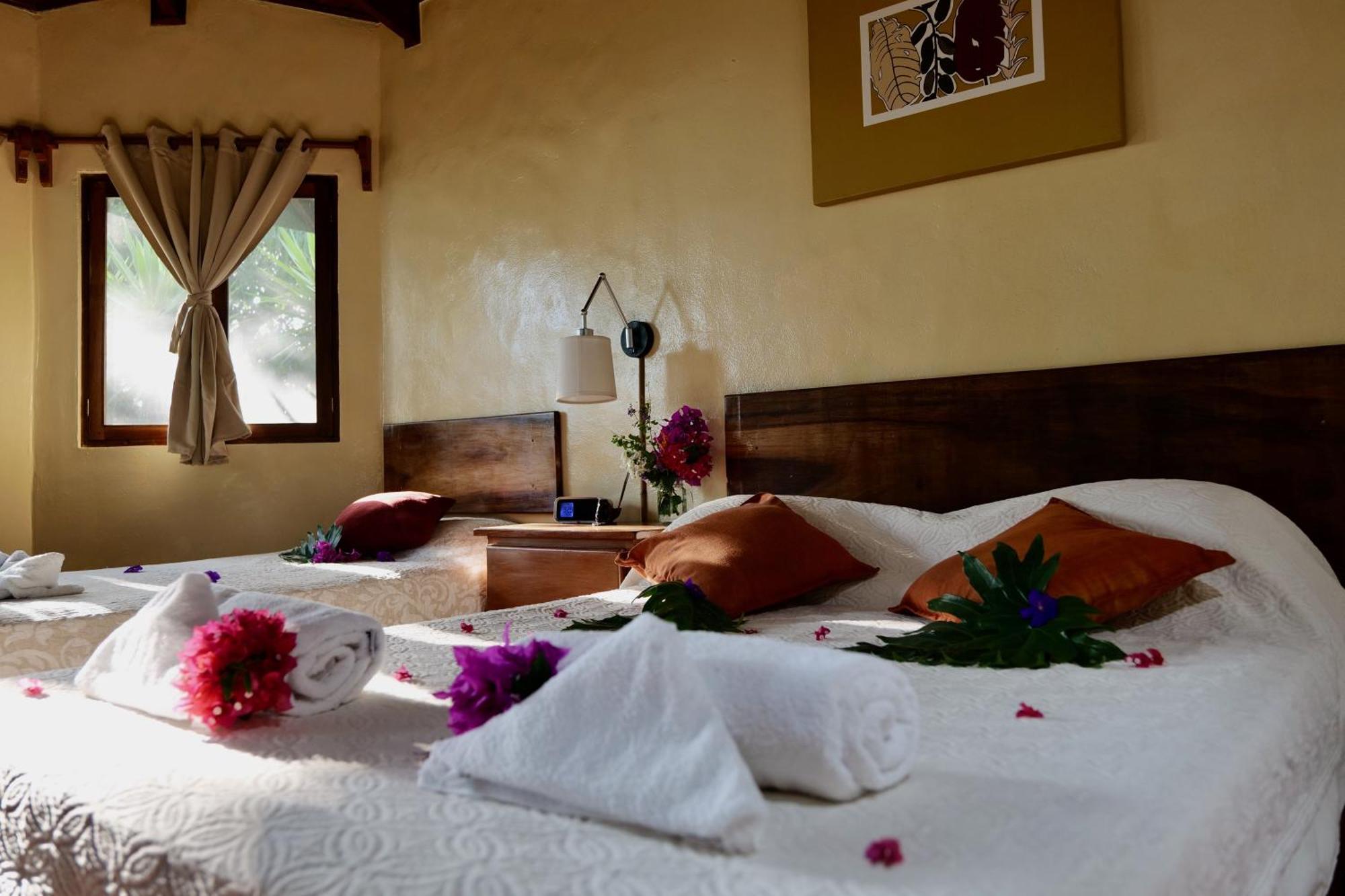 Lodge Mirador - Great Swimming Pool - Kitchen - Bbq - Netflix Tajo Alto Exteriör bild